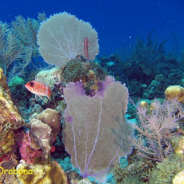 San Andres – O Mar de 7 Cores do Caribe Colombiano