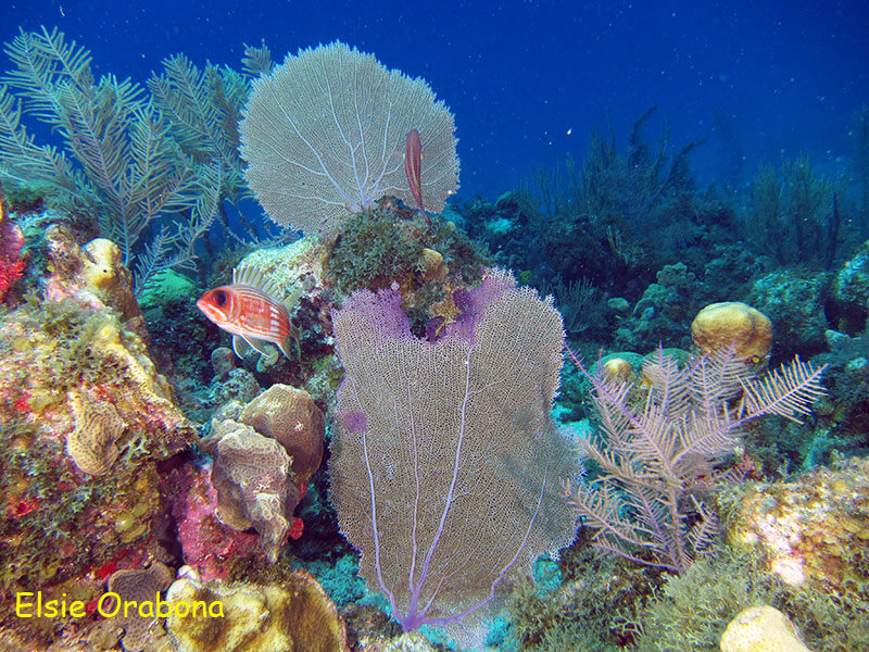 San Andres – O Mar de 7 Cores do Caribe Colombiano